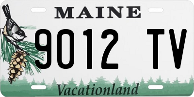 ME license plate 9012TV