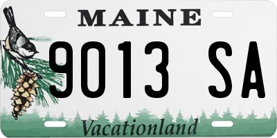 ME license plate 9013SA