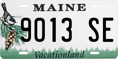 ME license plate 9013SE