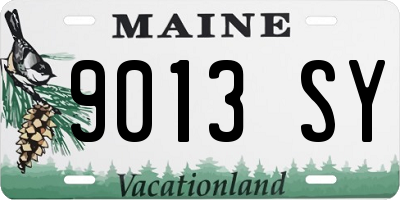 ME license plate 9013SY