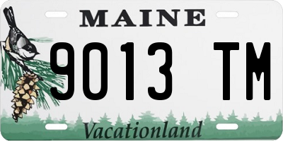 ME license plate 9013TM