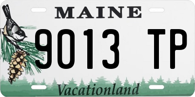 ME license plate 9013TP