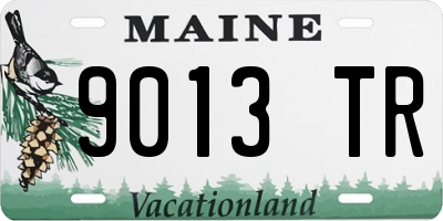 ME license plate 9013TR