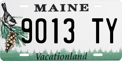 ME license plate 9013TY