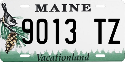 ME license plate 9013TZ
