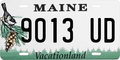 ME license plate 9013UD