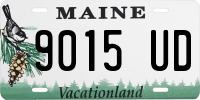 ME license plate 9015UD