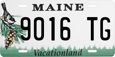 ME license plate 9016TG