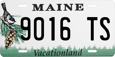 ME license plate 9016TS