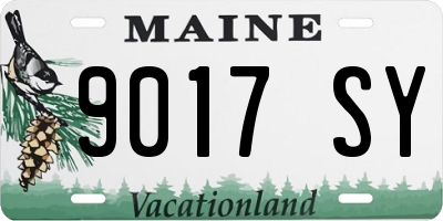 ME license plate 9017SY