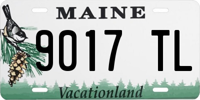 ME license plate 9017TL