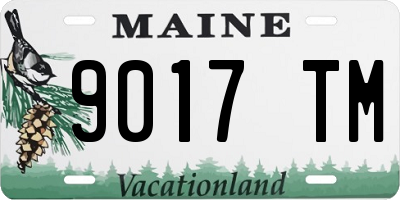 ME license plate 9017TM