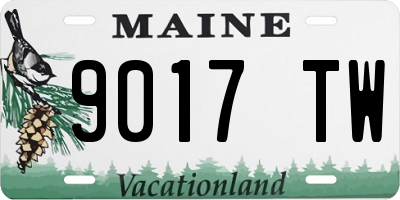 ME license plate 9017TW