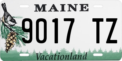ME license plate 9017TZ