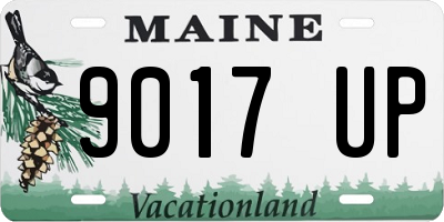 ME license plate 9017UP