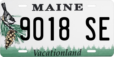 ME license plate 9018SE