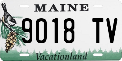 ME license plate 9018TV