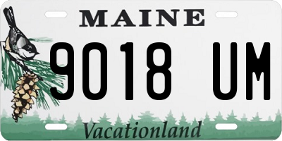 ME license plate 9018UM