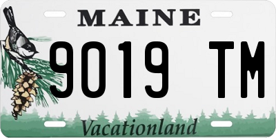 ME license plate 9019TM