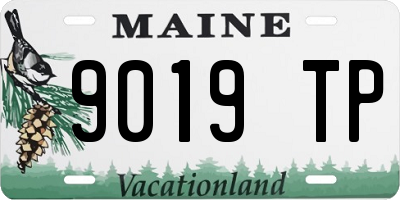 ME license plate 9019TP