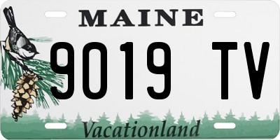ME license plate 9019TV