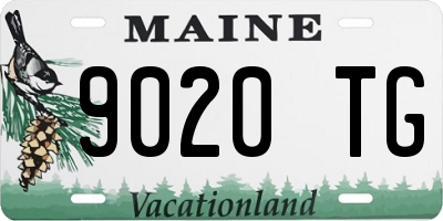 ME license plate 9020TG