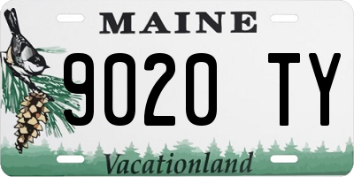 ME license plate 9020TY