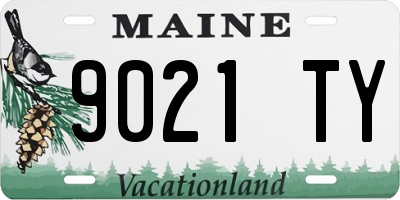 ME license plate 9021TY