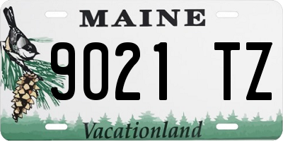 ME license plate 9021TZ