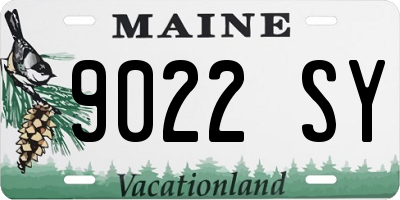 ME license plate 9022SY