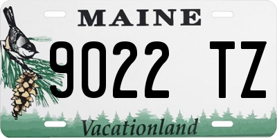 ME license plate 9022TZ