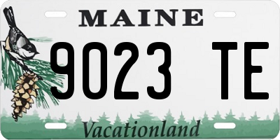 ME license plate 9023TE