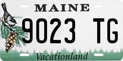 ME license plate 9023TG