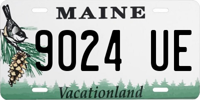 ME license plate 9024UE