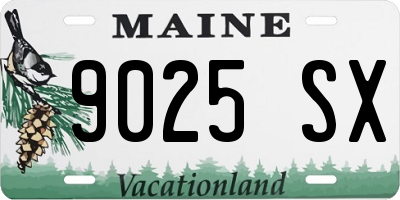 ME license plate 9025SX