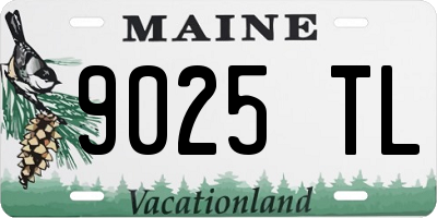 ME license plate 9025TL