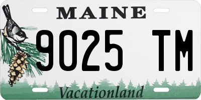ME license plate 9025TM