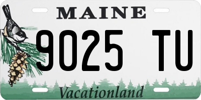 ME license plate 9025TU