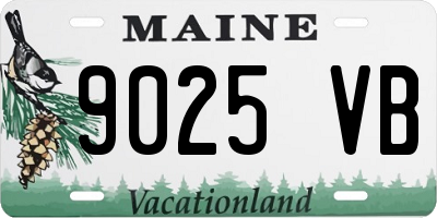 ME license plate 9025VB