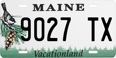 ME license plate 9027TX