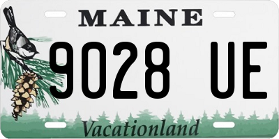 ME license plate 9028UE