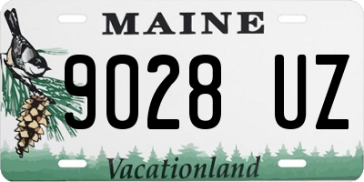 ME license plate 9028UZ
