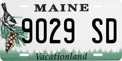 ME license plate 9029SD