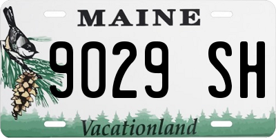 ME license plate 9029SH