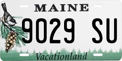 ME license plate 9029SU