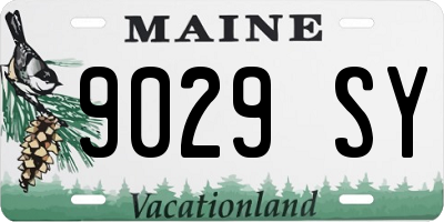 ME license plate 9029SY