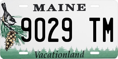 ME license plate 9029TM