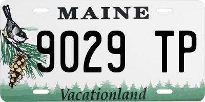 ME license plate 9029TP