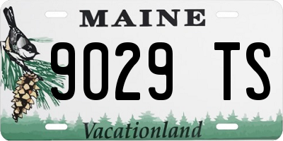 ME license plate 9029TS