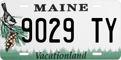 ME license plate 9029TY